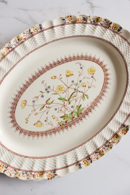 vintage Copeland spode "buttercup" platter