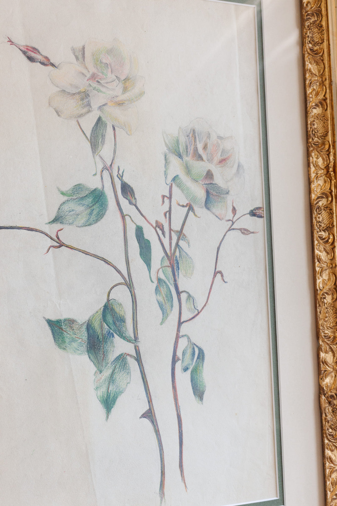 roses par jeanne 1919