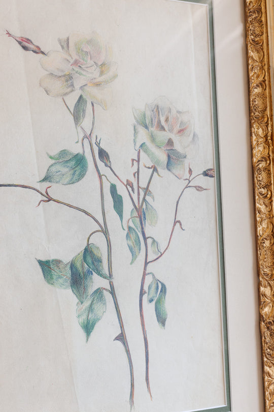roses par jeanne 1919