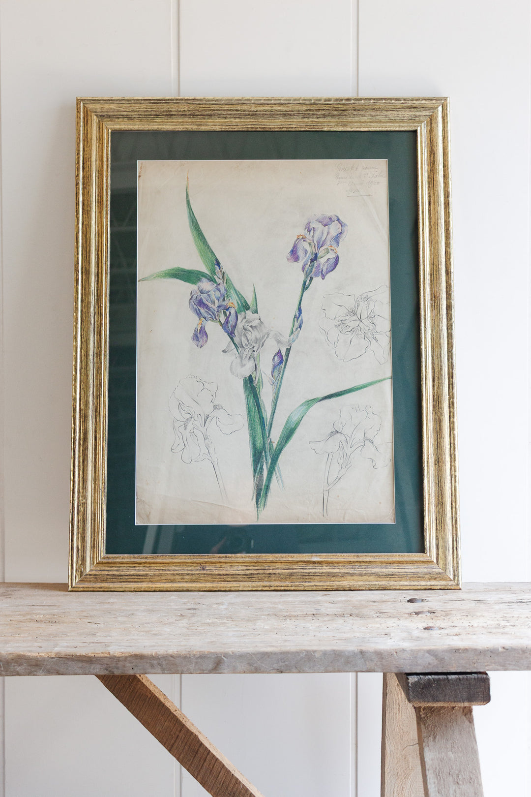 iris par jeanne 1920