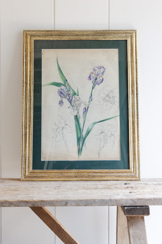 iris par jeanne 1920