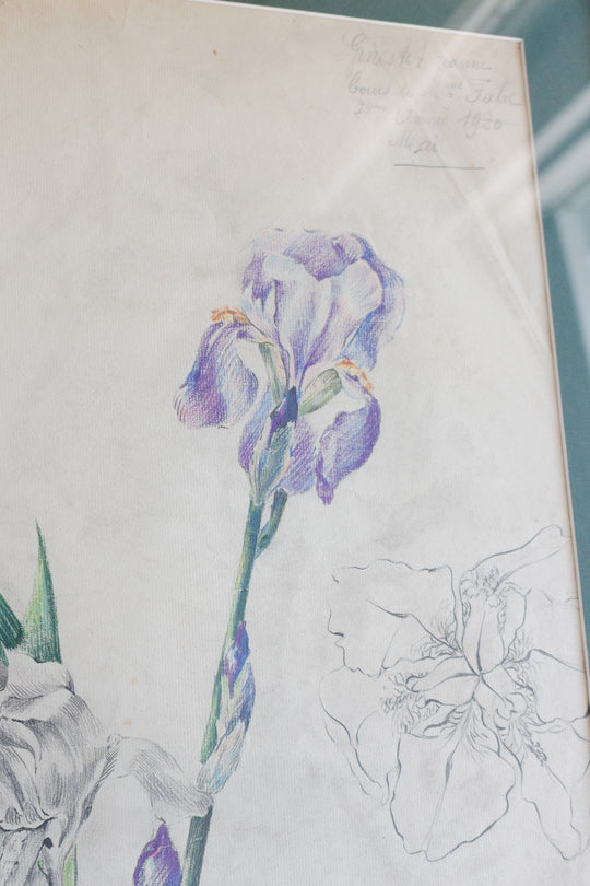 iris par jeanne 1920