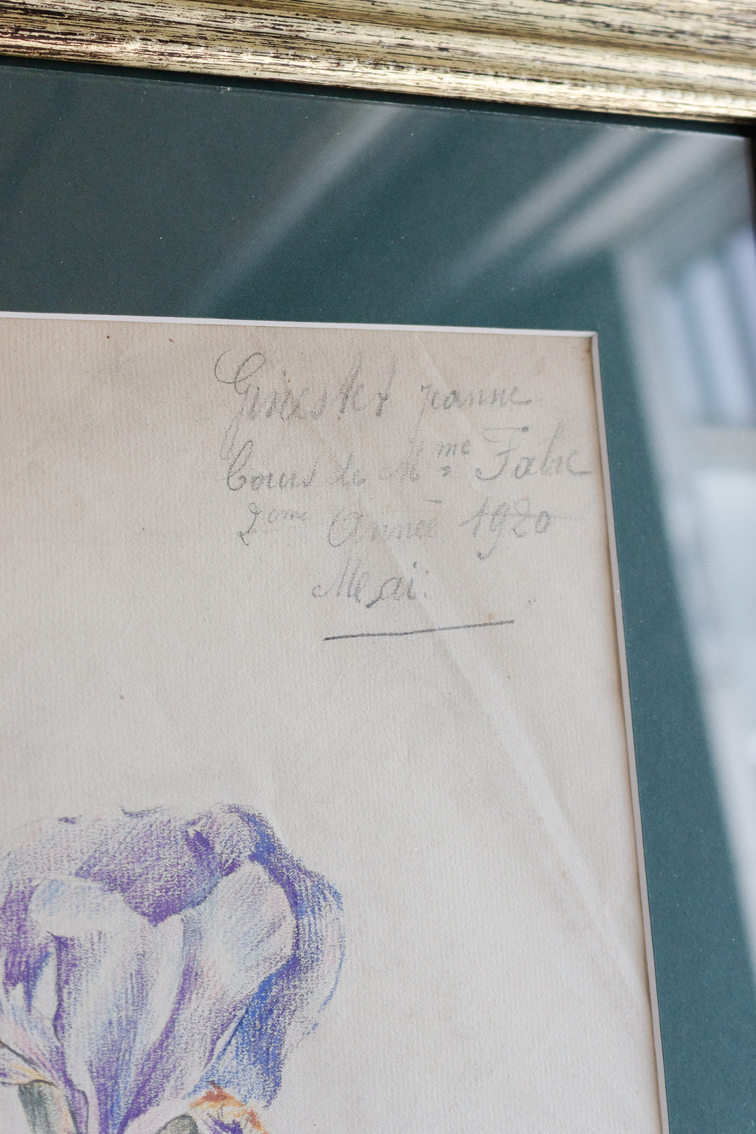 iris par jeanne 1920