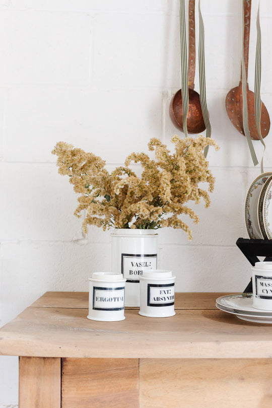 19th century French hand painted porcelain apothecary jars