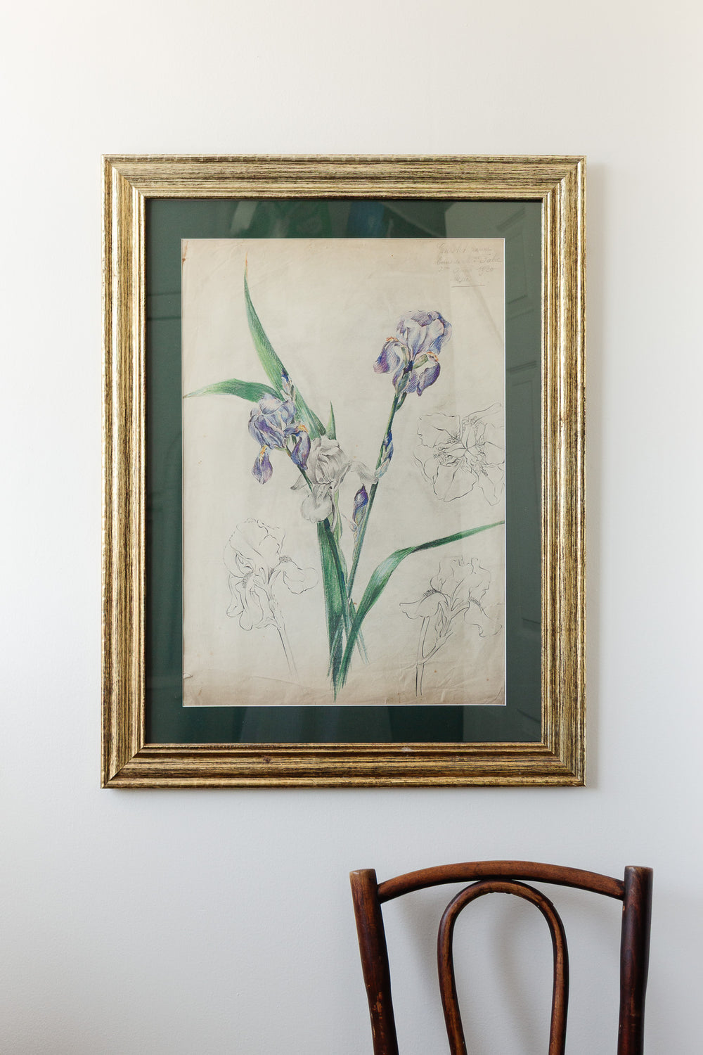 iris par jeanne 1920