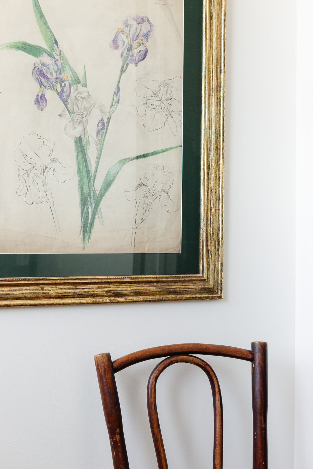 iris par jeanne 1920