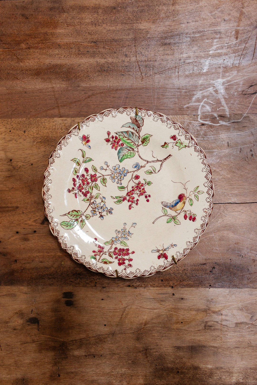 Antique french hand painted polychrome plate with bird motif