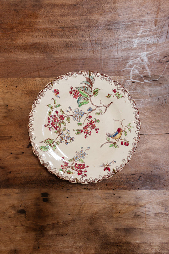 Antique french hand painted polychrome plate with bird motif