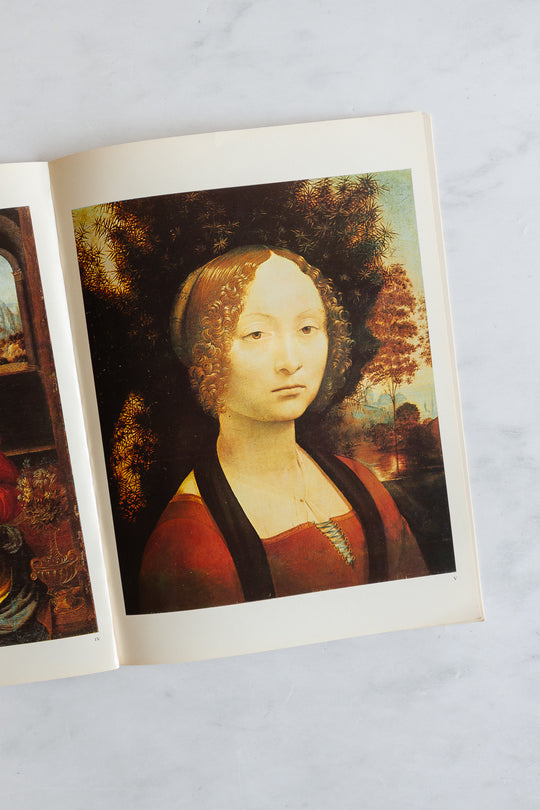 vintage french book "grands peintres: l. da vinci"