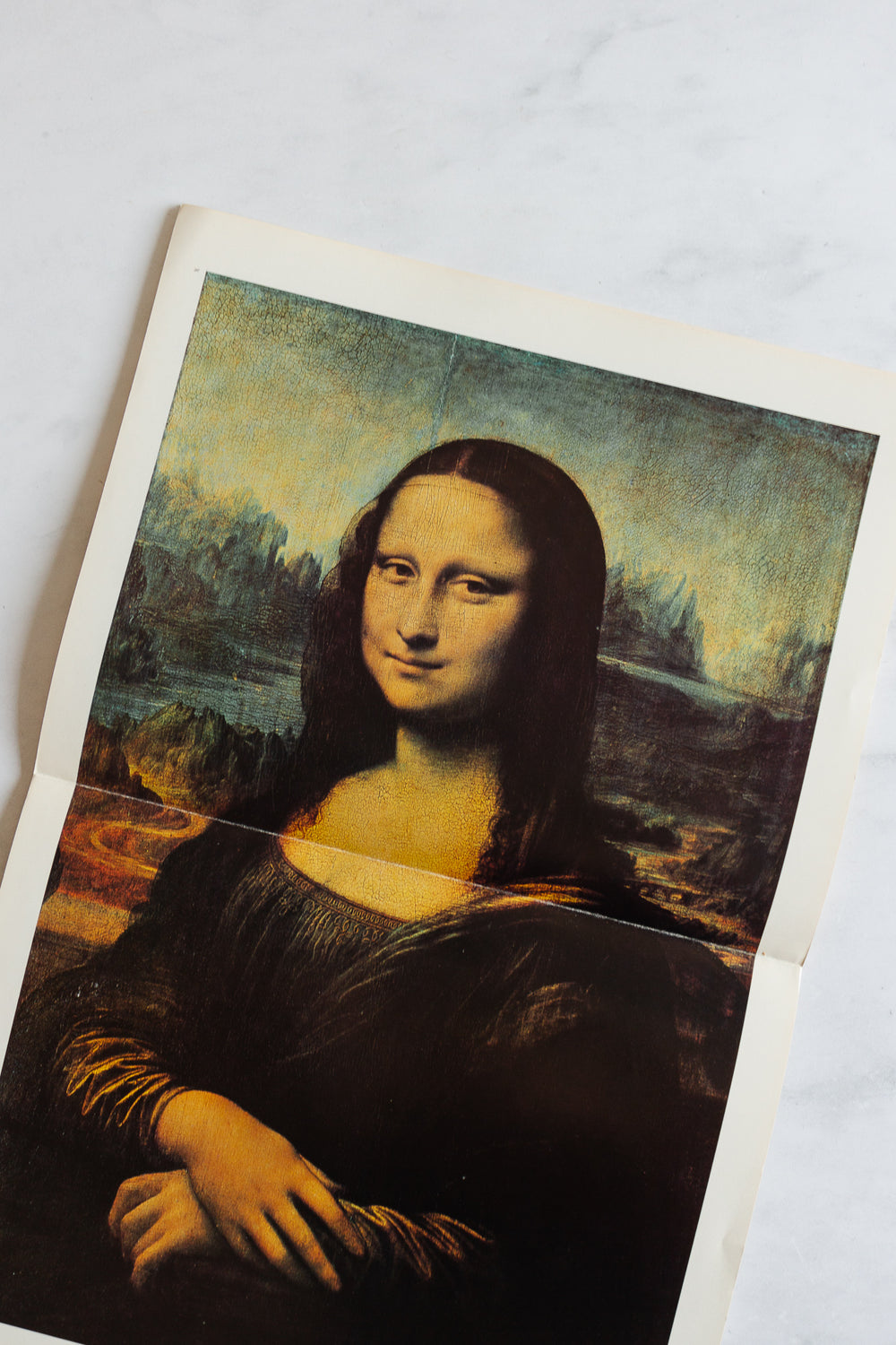 vintage french book "grands peintres: l. da vinci"