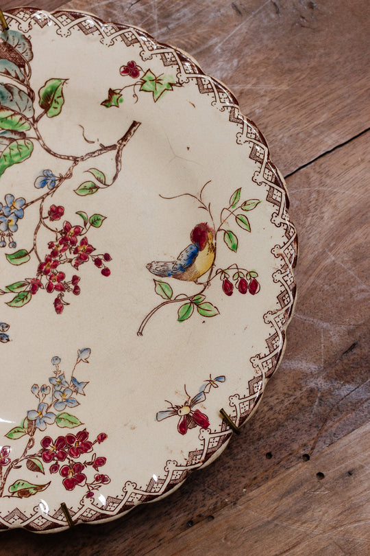 Antique french hand painted polychrome plate with bird motif