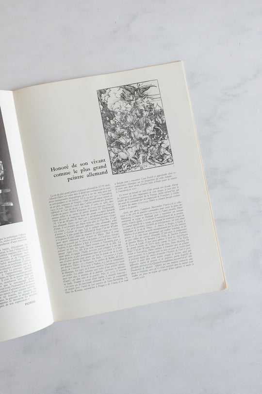 vintage french art book "grand peintres: dürer"