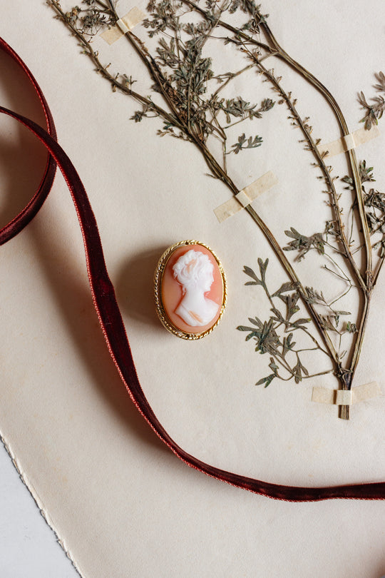 vintage French carved shell cameo brooch