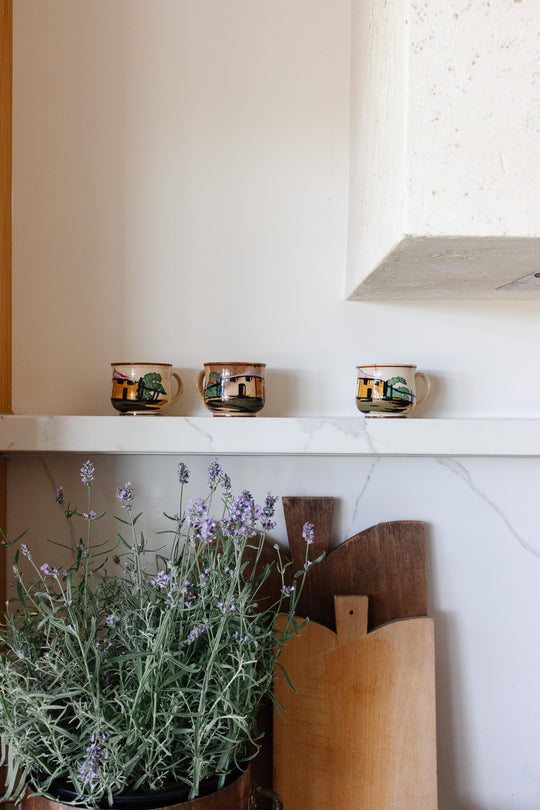 rare 19th century French Jules Vieillard pottery hand painted village cup set