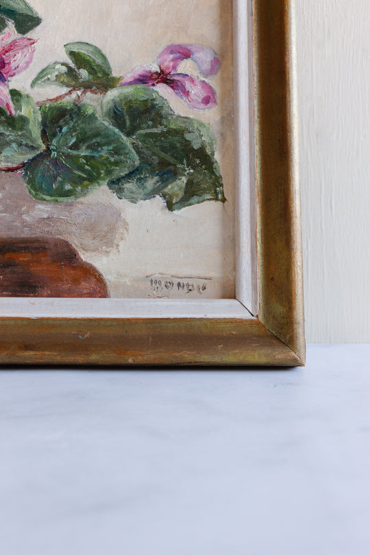 cyclamen rose dans un vase