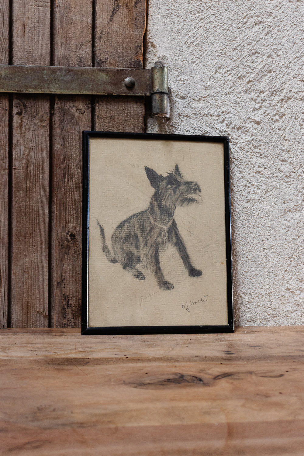 le chien