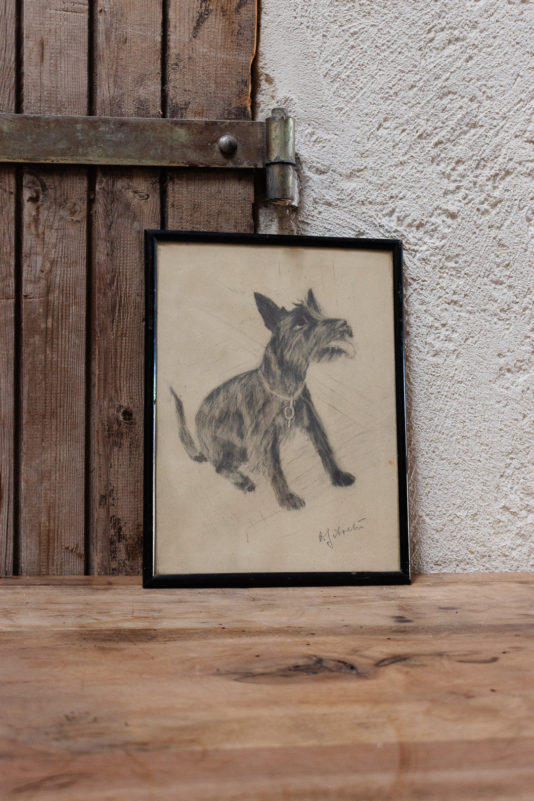 le chien