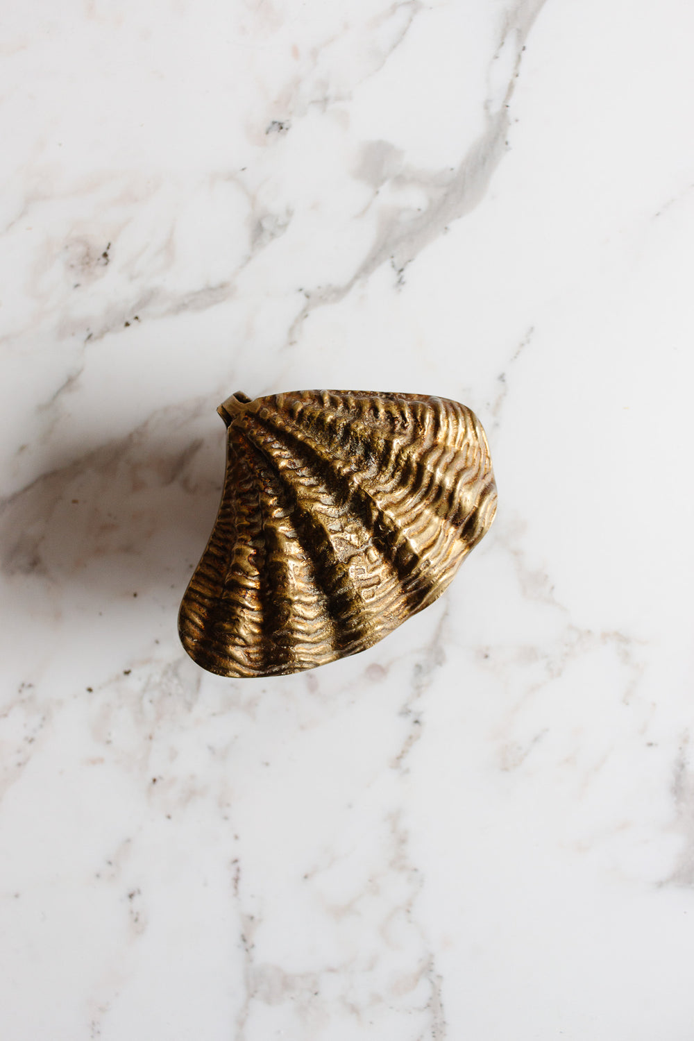 rare turn of the century French solid bronze clam shell bijoux box