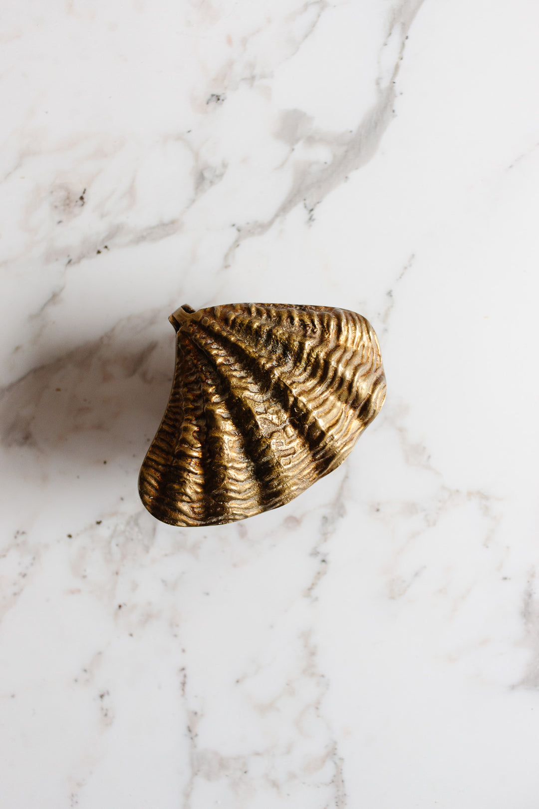 rare turn of the century French solid bronze clam shell bijoux box