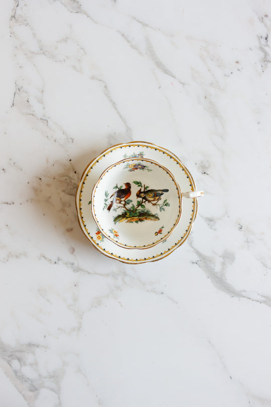 rare 1930s royal albert teacup with hand painted birds