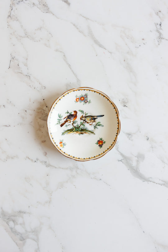 rare 1930s royal albert teacup with hand painted birds