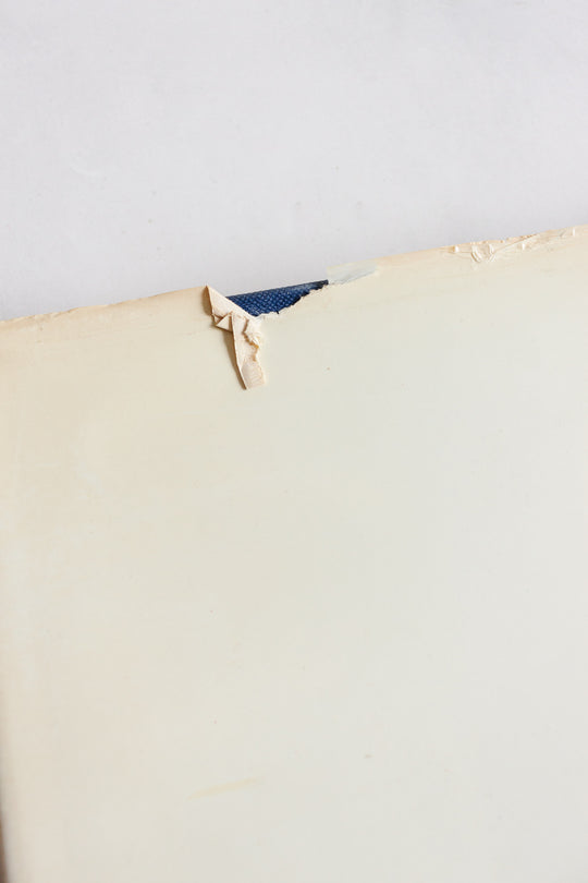 vintage art book, "klee"