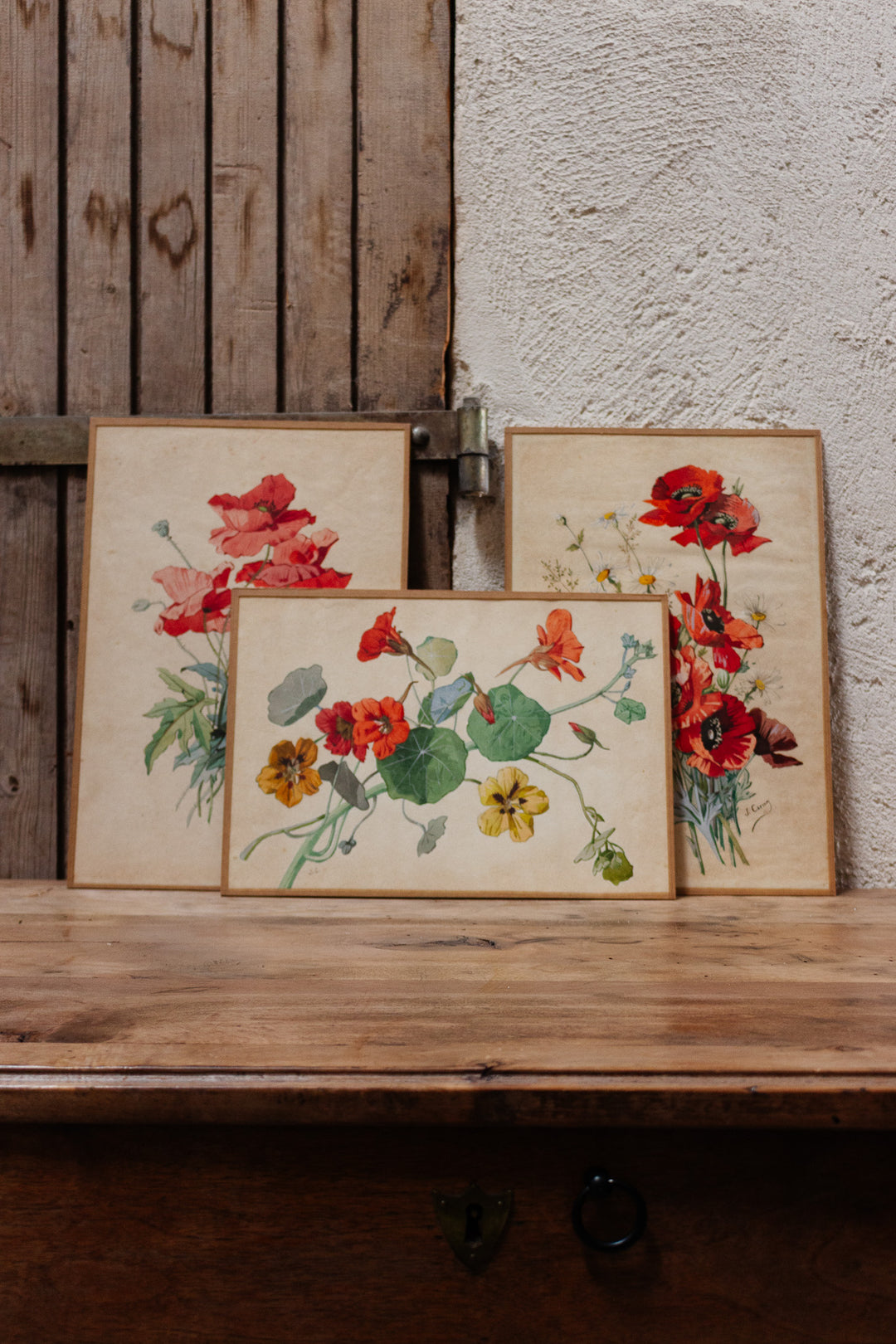 fleurs en aquarelle par j. carnoy