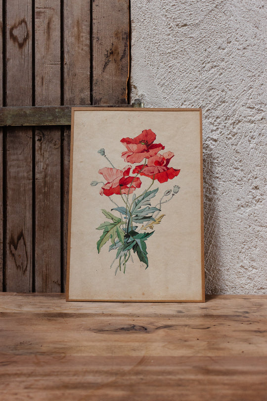 fleurs en aquarelle par j. carnoy