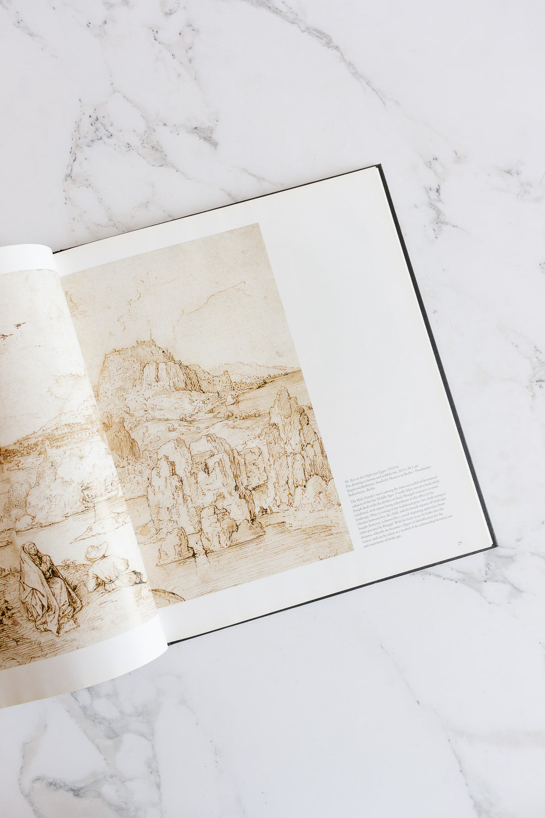 "masters of Netherlandish art" coffee table book