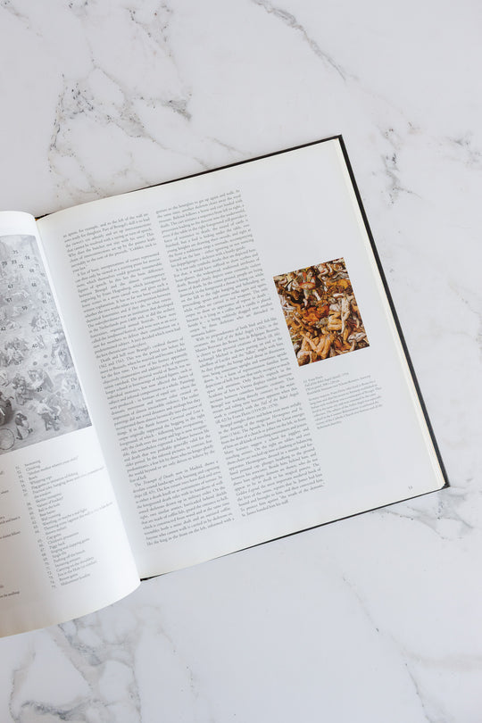 "masters of Netherlandish art" coffee table book