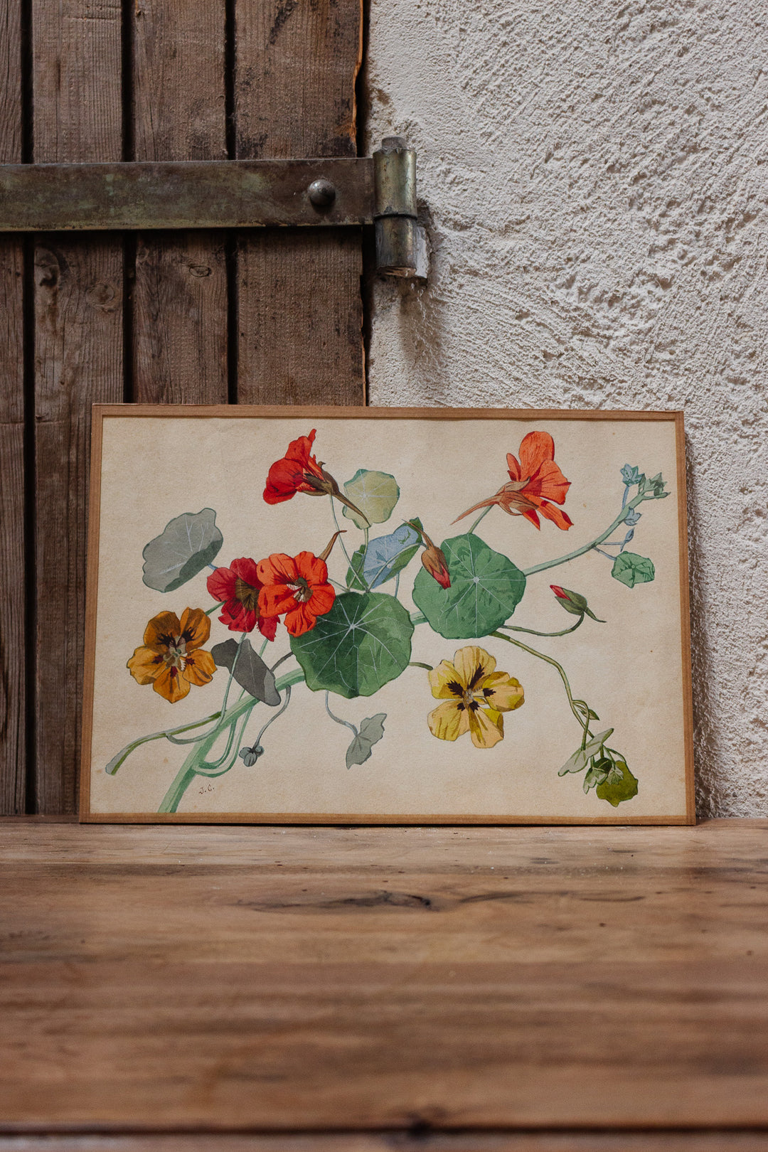 fleurs en aquarelle par j. carnoy