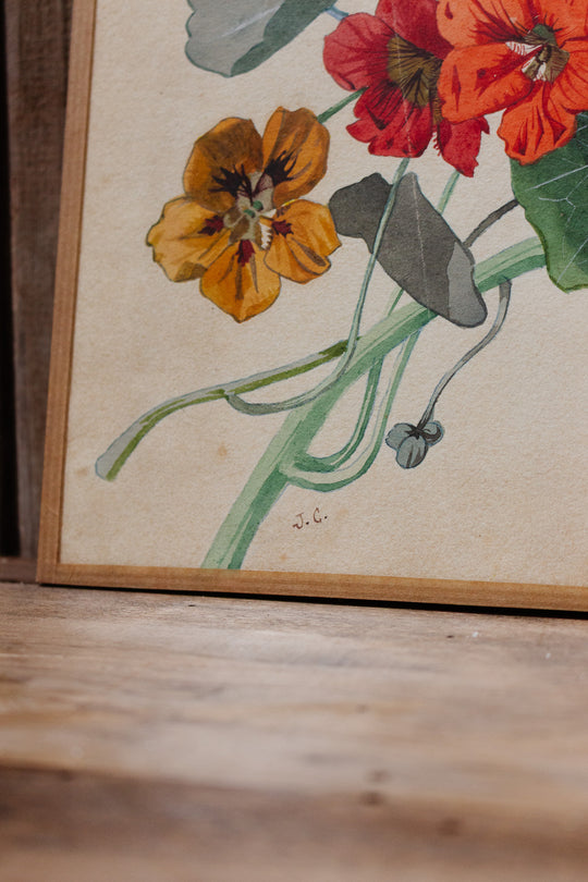 fleurs en aquarelle par j. carnoy