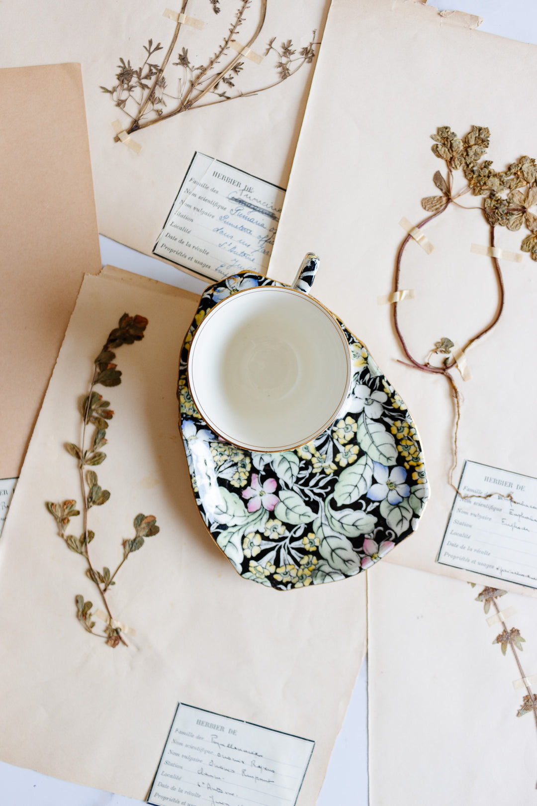 rare midcentury royal winton chintz "spring glory" luncheon set