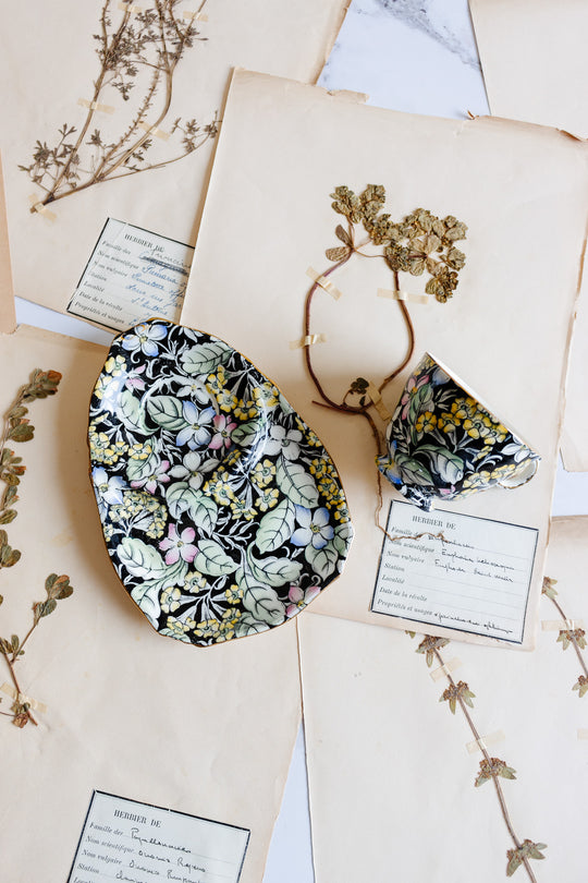 rare midcentury royal winton chintz "spring glory" luncheon set