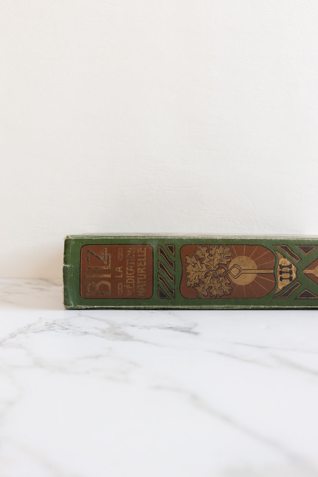 art nouveau medical Bilz book
