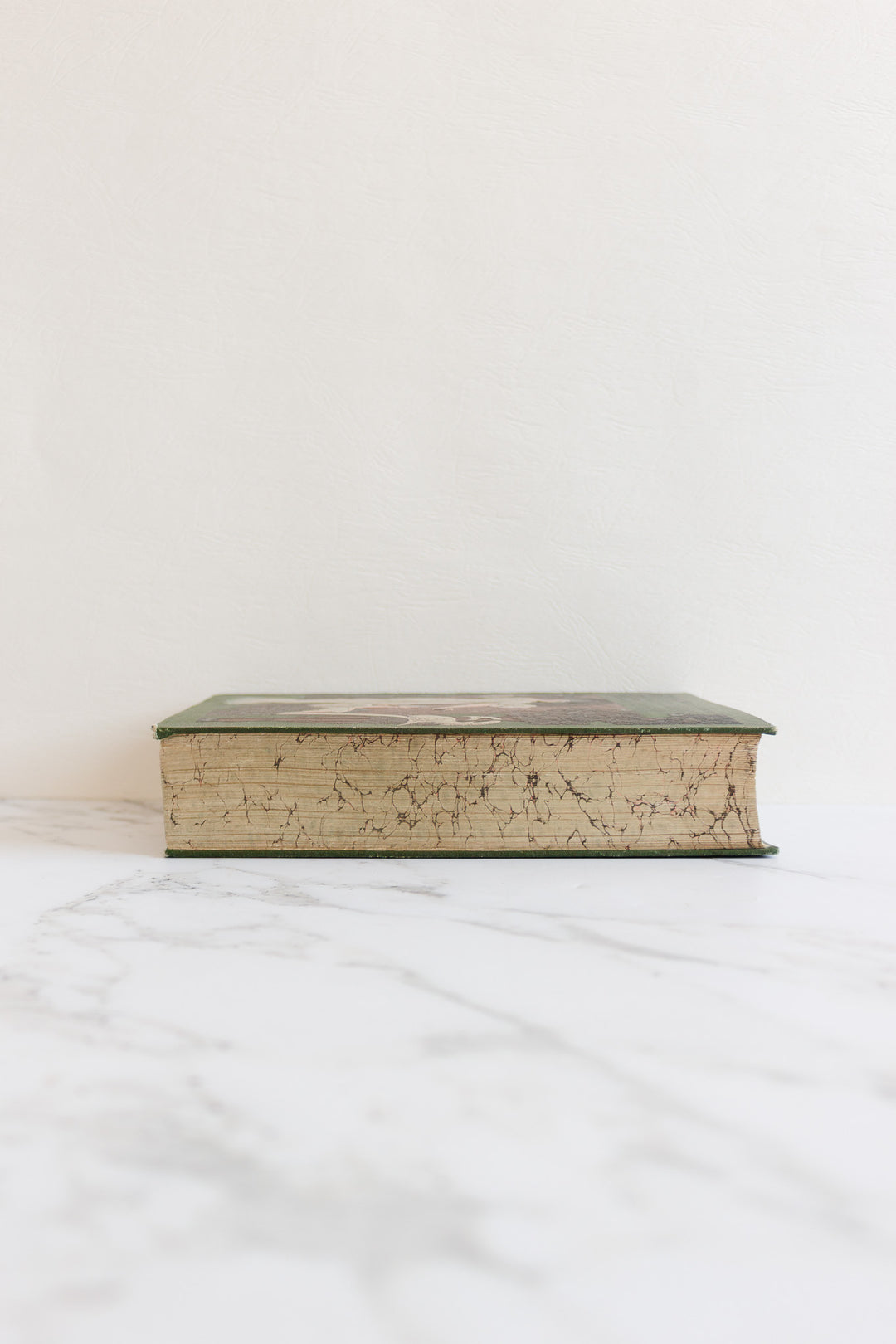 art nouveau medical Bilz book