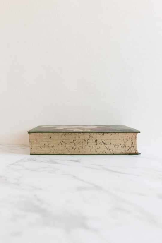 art nouveau medical Bilz book