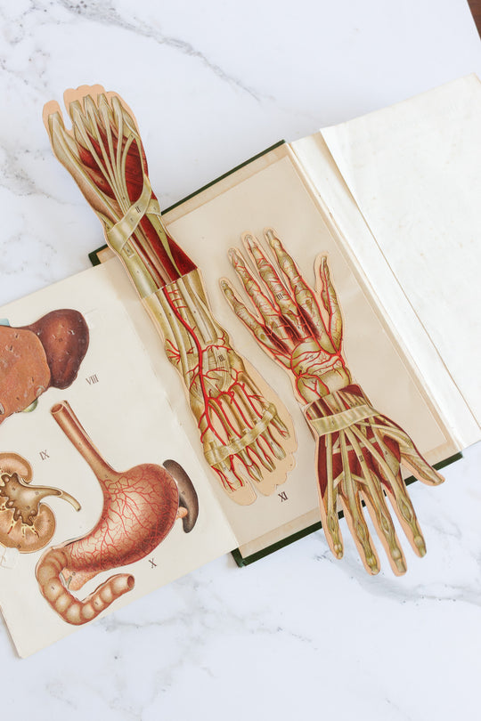 art nouveau medical Bilz book