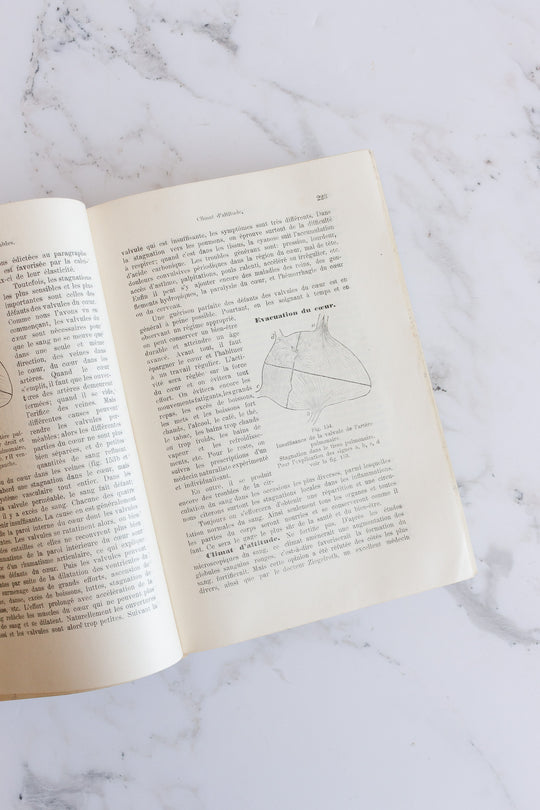art nouveau medical Bilz book