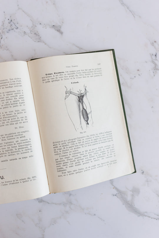 art nouveau medical Bilz book