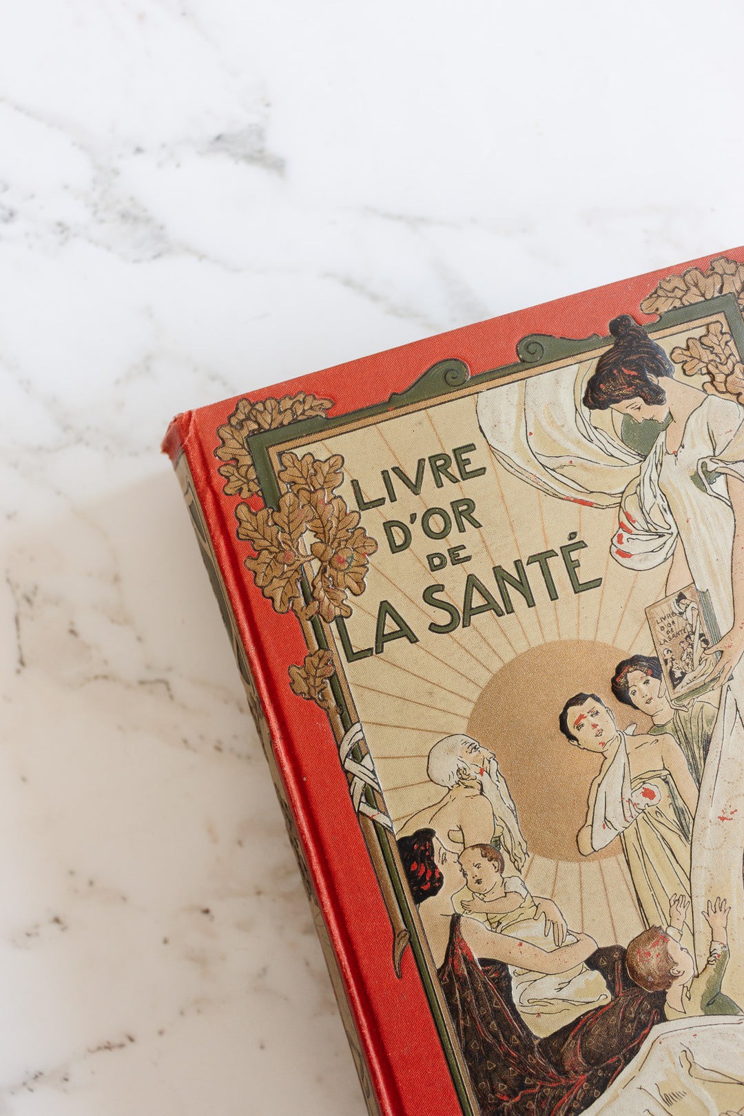 art nouveau medical Bilz book