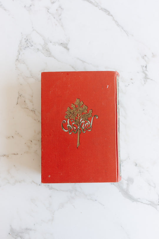 art nouveau medical Bilz book