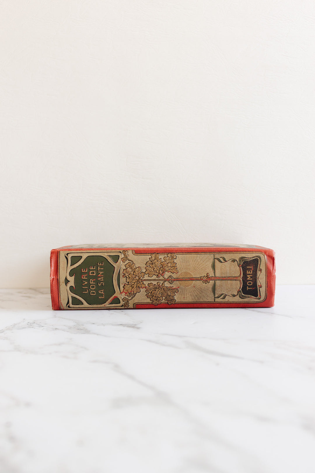 art nouveau medical Bilz book
