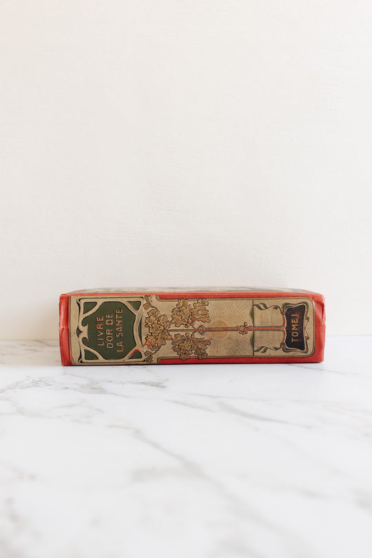 art nouveau medical Bilz book