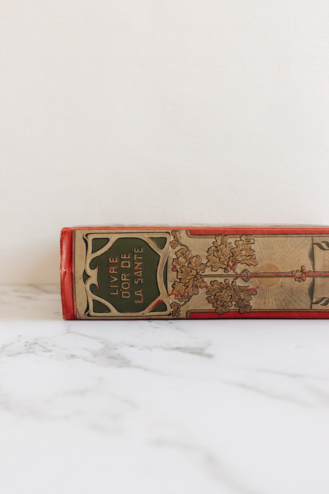 art nouveau medical Bilz book
