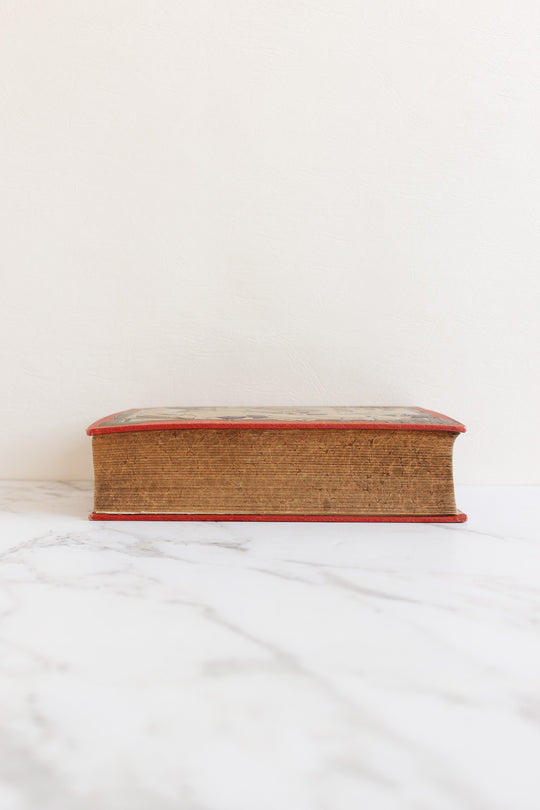 art nouveau medical Bilz book