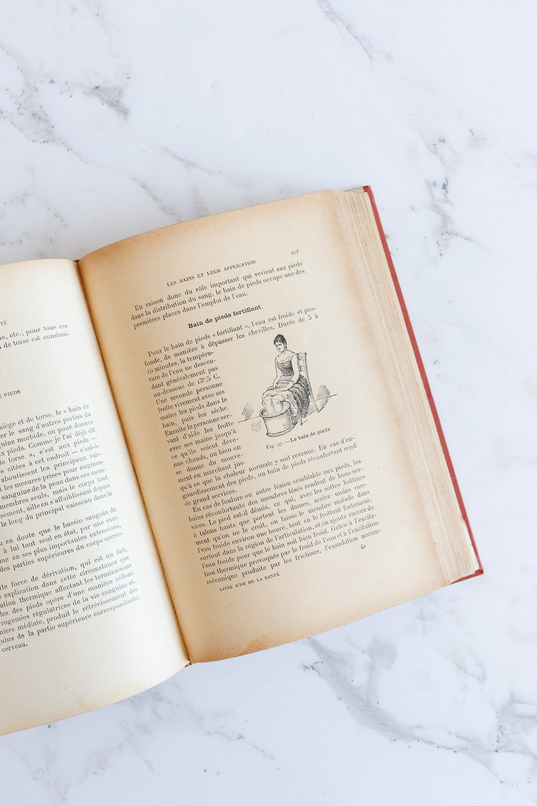 art nouveau medical Bilz book