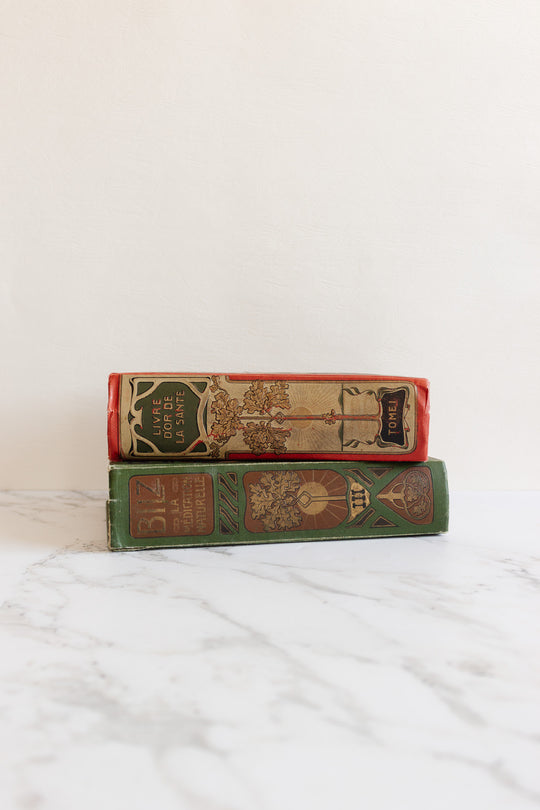 art nouveau medical Bilz book