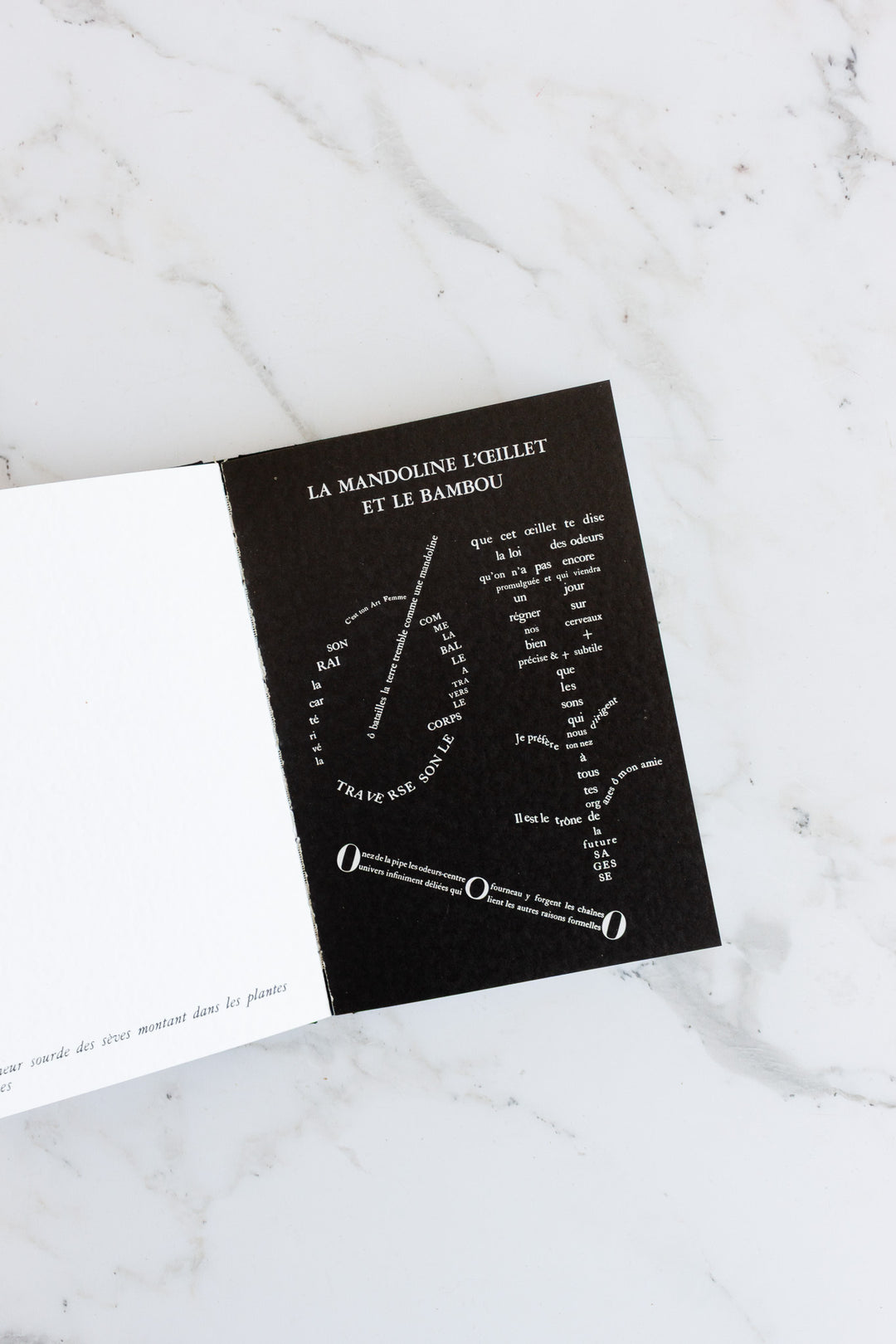 guillaume apollinaire "ossip zadkine" first edition book