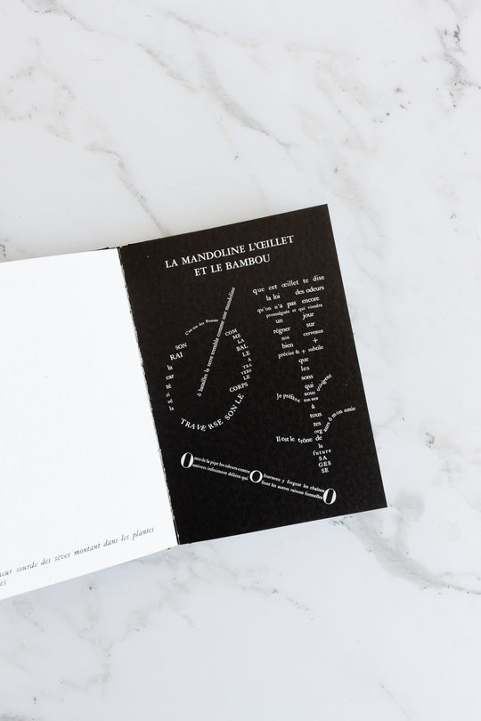 guillaume apollinaire "ossip zadkine" first edition book